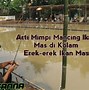 Mimpi Dapat Ikan Banyak Artinya Apa